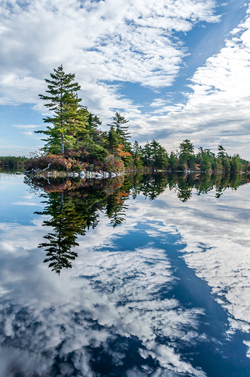 Birchdale Lake - Loon Island