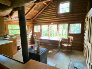 Birch Cabin Main Living Area