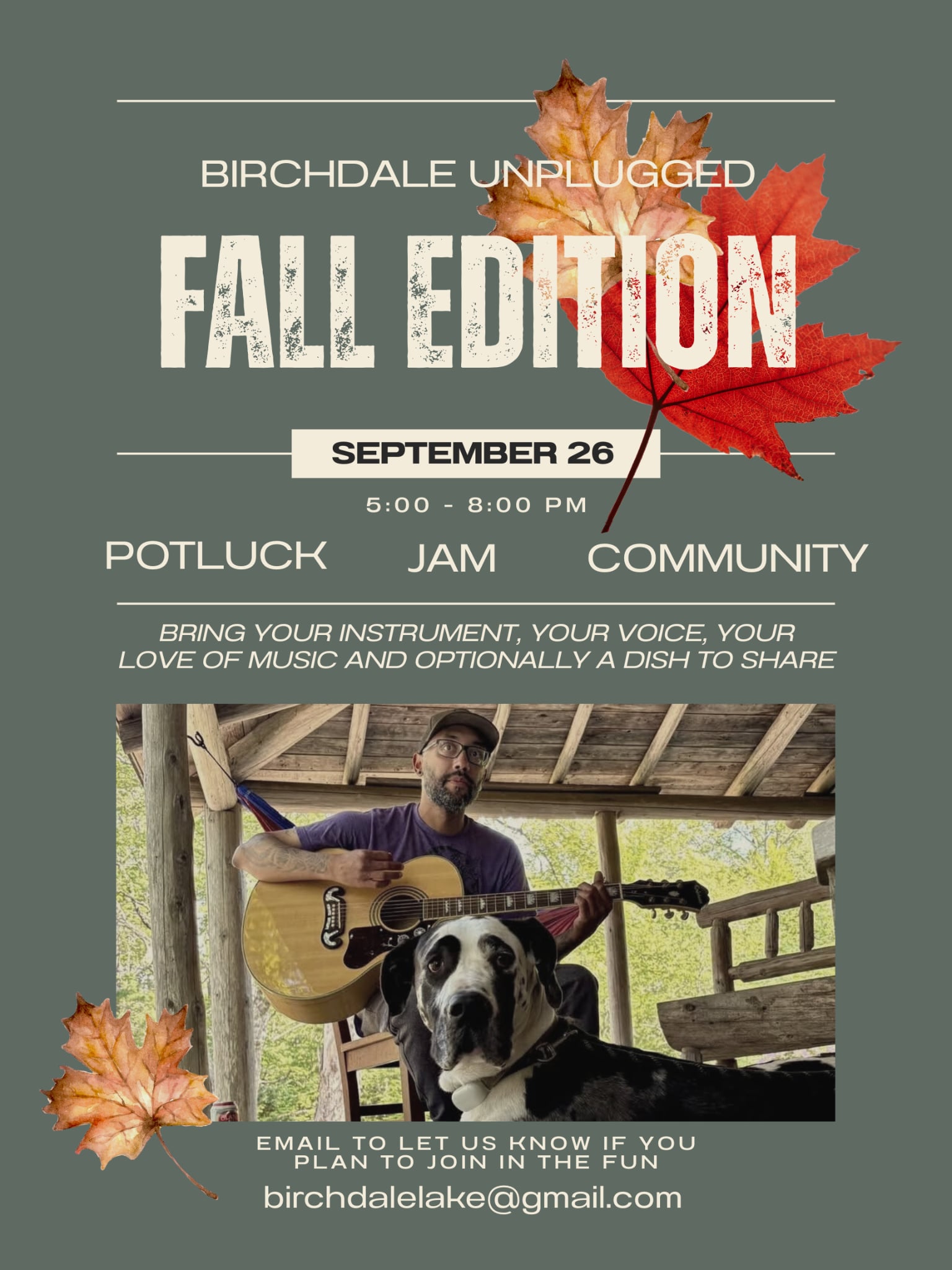 Birchdale Unplugged