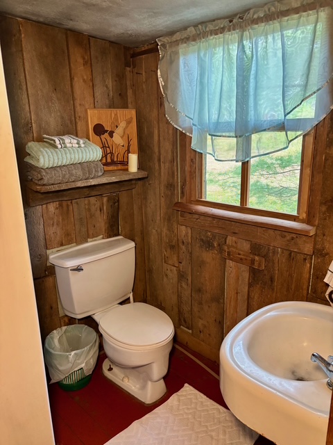 Birch Cabin Bathroom