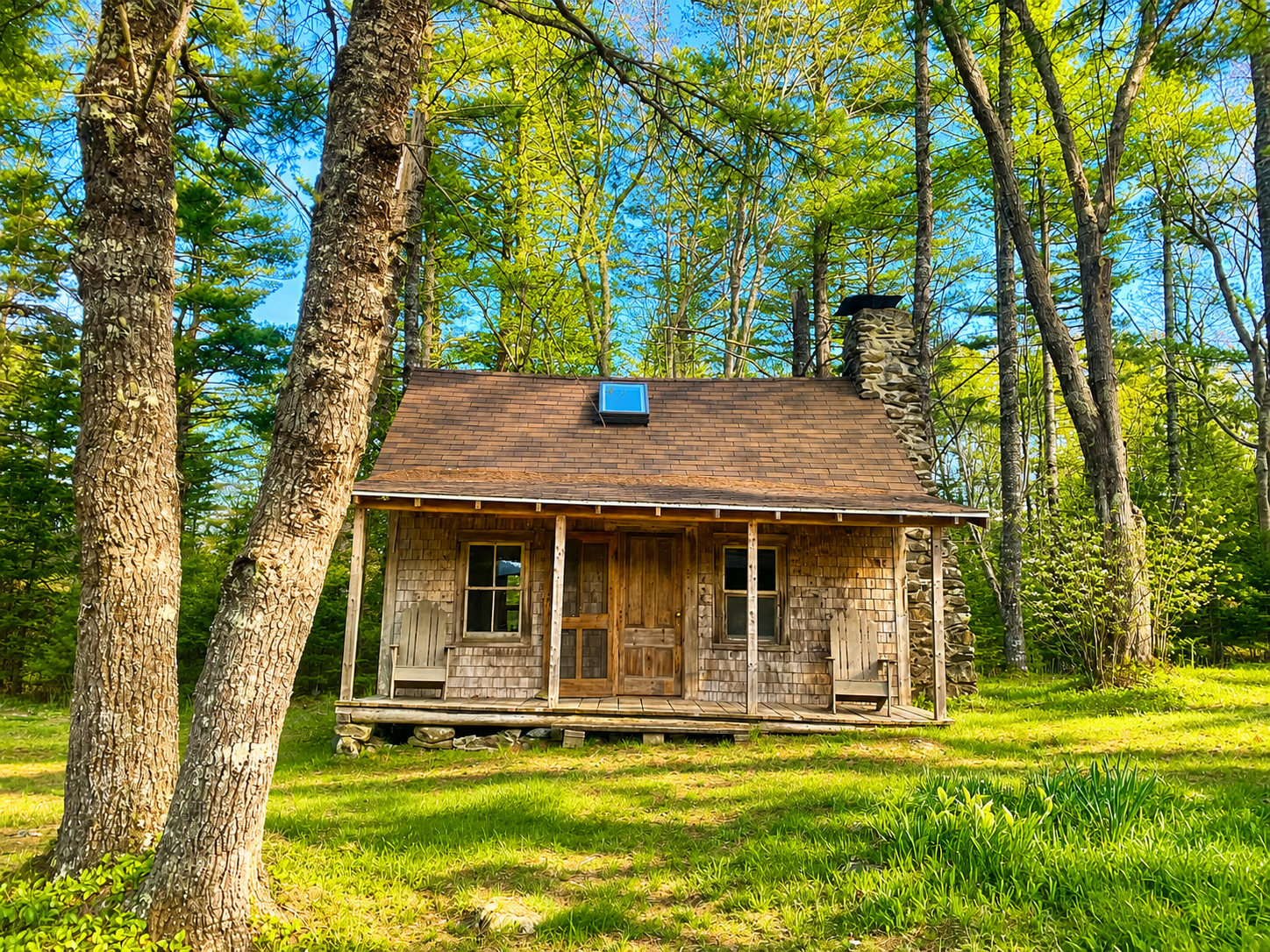 Birch Cabin Exterior